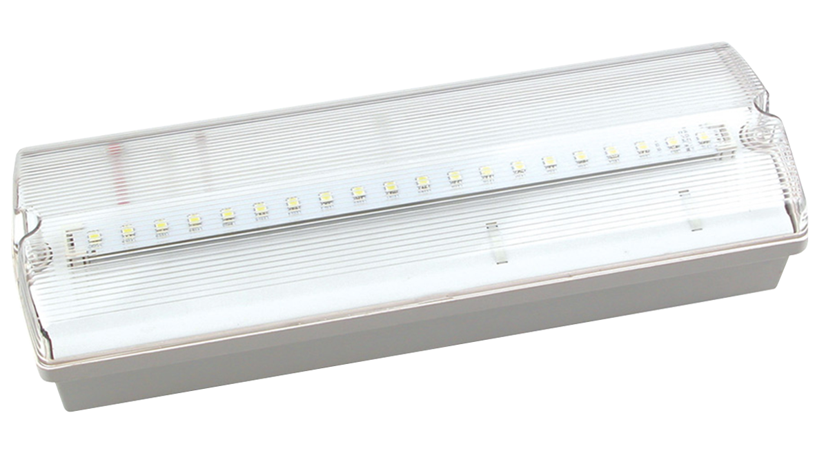 New led emergency light with exit bulkhead