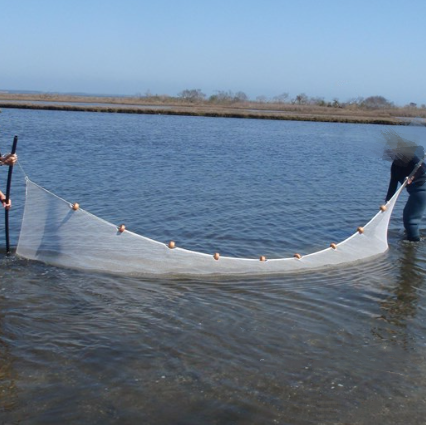 China Fish Seine net for Shallow Water catch Fish Manufacturer and