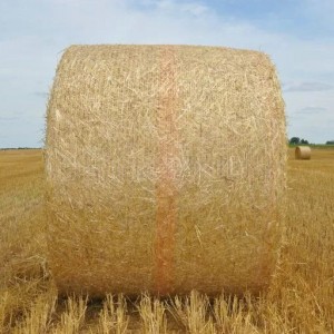 IOS Certificate China PE/Polyethylene/PP/Plastic/Agricultural White Packing Round Silage/Grass Hay Bale/Bales Wrap Net for South America