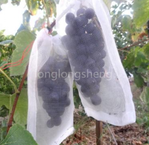 Vineyard Orchard Borsa in rete à prova di insetti