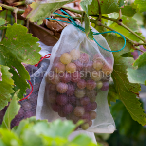 Vineyard Orchard ថង់សំណាញ់ការពារសត្វល្អិត
