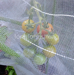 Sieťované vrecko na ovocie a zeleninu odolné voči hmyzu