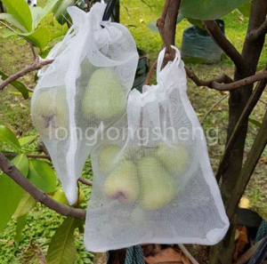 Vineyard Orchard Hyönteissuojattu verkkolaukku