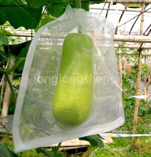 Wholesale Dealers of Agricultural Chicken Net - Fruit and vegetable insect-proof mesh bag – Longlongsheng