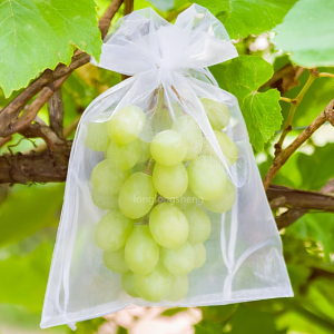 Vineyard Orchard vabzdžiams atsparus tinklinis krepšys