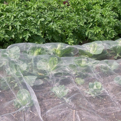 Several issues to pay attention to when choosing insect nets