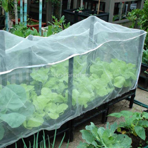Fine Mesh Agricultural Anti-insect Net Para sa Greenhouse