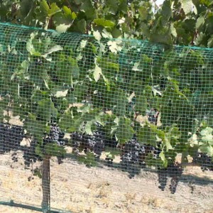 Vineyard Side Net till Anti Animals