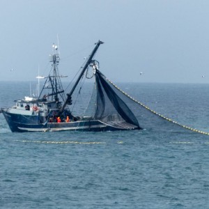 Giao hàng nhanh Lưới đánh cá bằng nylon chống nước chống rách Trung Quốc