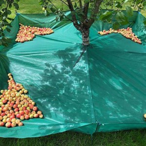 Mtengo wokwanira China Fruit/Olive Collection Net for Harvest Collection