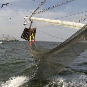 Rete da pesca in polietilene con rete da pesca in nylon resistente all'acqua e resistente allo strappo