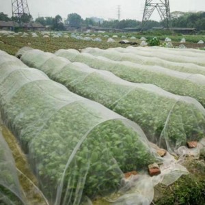 Lưới chống côn trùng mật độ cao cho rau củ quả
