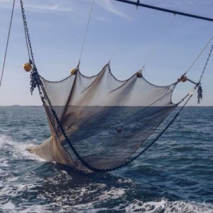 Gyors szállítás Kína szakadásálló vízálló nylon halháló Polietilén halászháló