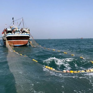 Швидка доставка Китай Стійка до розривів водонепроникна нейлонова рибальська сітка Поліетиленова рибальська сітка