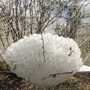 Anti-Hail Net for Crop Agricultural Protection