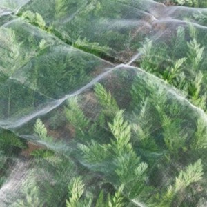 Prezzu di Fabbrica Per a Cina 100% PE Trasparente Serra Anti Insetti Net for Plant, Agriculture Net Anti-Insect Net Price