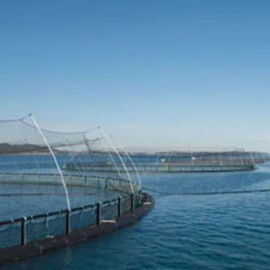 Plasa de cusca plutitoare pentru acvacultura pentru crustacee de castraveti etc