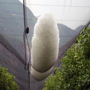 Wholesale China Anti Hail Net, Agricultural Protection Net, Hail Nets