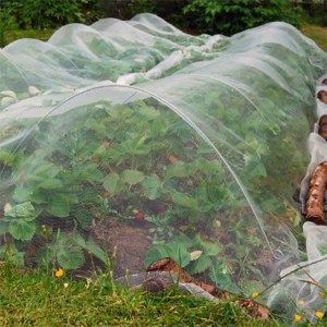 Wholesale ODM China Custom HDPE Agricultural Mesh Vegetable Fruit Tree Anti Insect Net