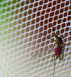 Hanging Nylon Mosquito Net For Children’s Bed