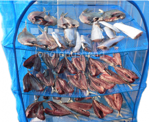 Výrobní společnosti pro Čínu skládací rybářský podběrák z hliníkové slitiny