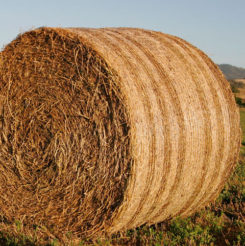 Mreža za omotavanje bala HDPE rastezljiva mreža za bale Omotajte poljoprivrednu mrežu za bale sijena