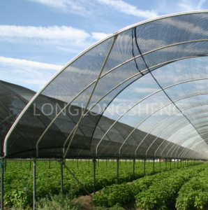 Buen efecto de la red de sombra para cultivos de hortalizas para reducir la luz y la ventilación.