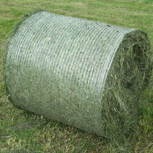 ريپنگ بيلي ريپ نيٽ HDPE اسٽريچ بيل نيٽ ريپ زراعت Hay Bale Net