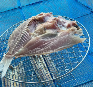 Perusahaan Manufaktur untuk Jaring Pendaratan Ikan Lipat Paduan Aluminium China