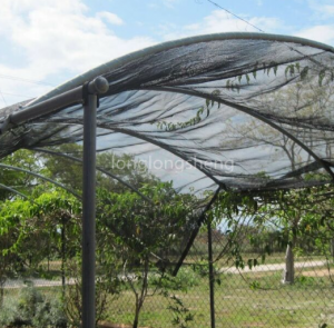 Tác dụng tốt của lưới che nắng cho cây rau giúp giảm ánh sáng và thông gió