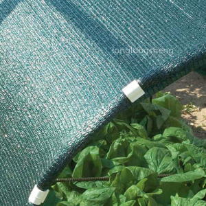 Bon efecte de xarxa d'ombra per a cultius d'hortalisses per reduir la llum i la ventilació
