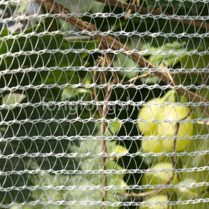 Hail Net To Protect Crops From Storm And Hail Damage