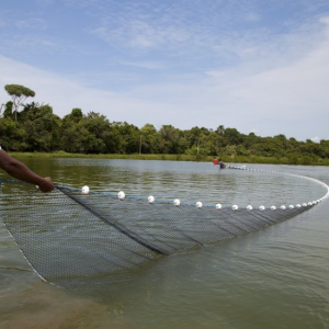 Rede em grande escala para pesca com alta eficiência de pesca