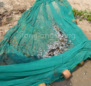 Grutskalige net foar fiskerij mei hege fiskeffisjinsje