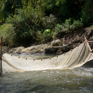 Fish Seine net kanggo Cethek Water nyekel Iwak