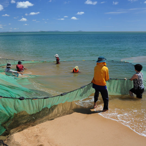 Large-scale Net For Fishing With High Fishing E...