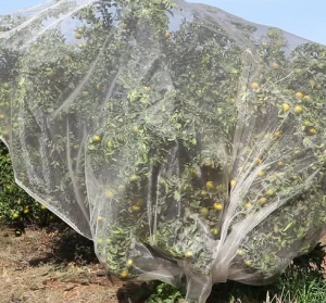 Pieni verkkopuutarha, kasvispeite tuholaisten estämiseksi