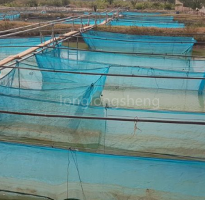 Le gabbie per acquacoltura sono resistenti alla corrosione e facili da gestire