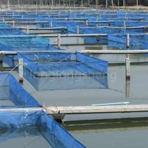 Aquaculture cages are corrosion-resistant and e...