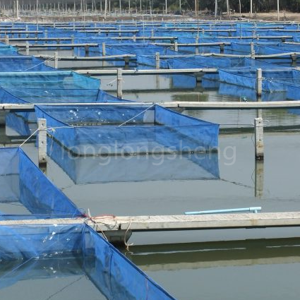 Klece pro akvakulturu jsou odolné proti korozi a snadno se s nimi manipuluje