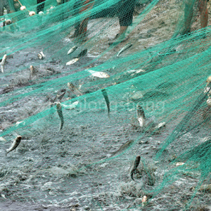 Storskala garn for fiske med høy fiskeeffektivitet