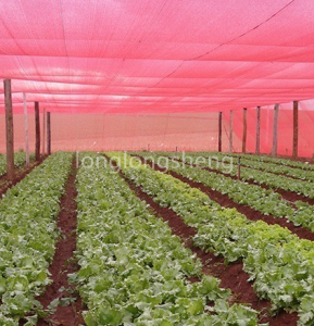 Red Shade Net Crop Protection Network