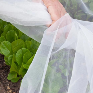 Agricultural Greenhouse Fruit En Vegetable High-density Insect-proof Net