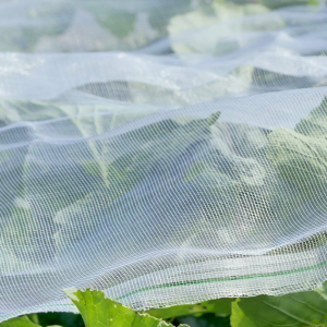 Mezőgazdasági üvegházhatású zöldség-gyümölcs nagy sűrűségű rovarálló háló