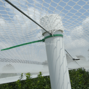 Бяла мрежа против птици за защита на овощна градина