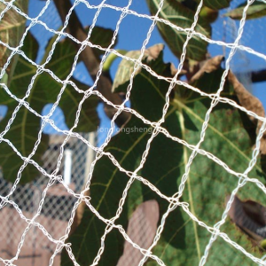 Lưới chống chim trắng để bảo vệ vườn cây ăn quả