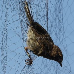 China Lieferant China Anti-Vogelnetz / HDPE-Netz