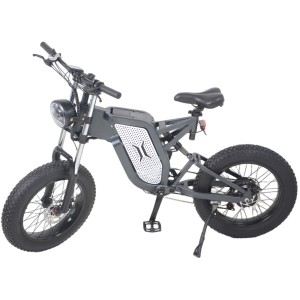 Electric Mountain Bicycle for Multiple Land Scape