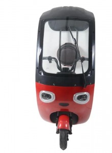 Panda Like Three Wheel electric Tricycle Electric Scooter With Roof For Adults