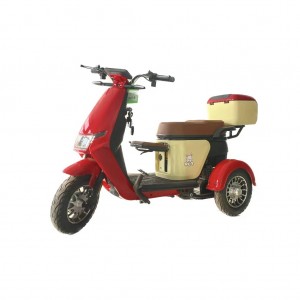 Electric Tricycle Manufacturer Kusog nga Smart 500W